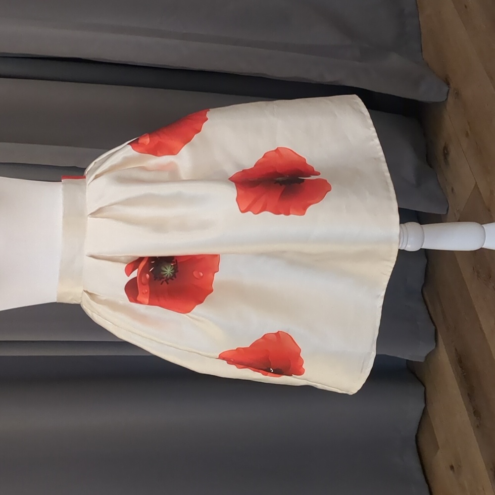 Chicwish Poppy Print Satin Skirt size Small S